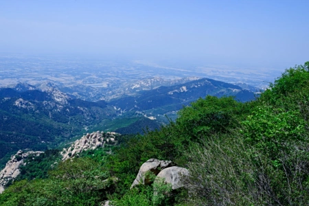 试管代怀生子助孕机构多少钱（泰山和山东的欧拉图）泰山和山东的概念相容关系，